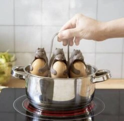 Support à Oeufs Pour La Cuisson Et Le -GourmetHome Soldes Magasin 0f8520d1508d447e8949f09a602884f0.cropped 111 104 779 761.processed