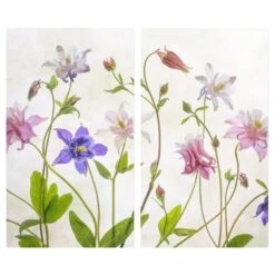 Protège-plaque De Cuisson Ancolie