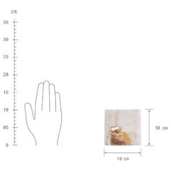 Sous-verre PRECIOUS -GourmetHome Soldes Magasin 1000337011 230623 500 SKETCH DETAILS P000000001000337011 sketch