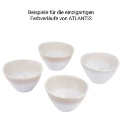 Bols ATLANTIS - Lot De 4 20 Bols ATLANTIS - Lot De 4 -GourmetHome Soldes Magasin 1000386132 230601 060 DETAILS P000000001000386132