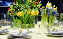 Glamour Saladier 24 cm -GourmetHome Soldes Magasin 23b910c4ca5941249fff57a6dd17d121 1