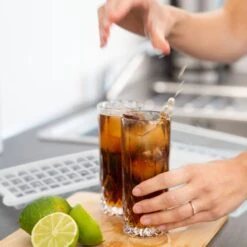 Bac à Glaçons Refermable Avec 4 Moules -GourmetHome Soldes Magasin 3503f3b7084b4227966cfd555aec1a9d