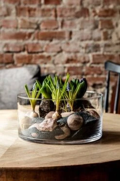 Glamour Saladier 24 cm -GourmetHome Soldes Magasin 860d1a29b7564af89b07d7b5245f1a32