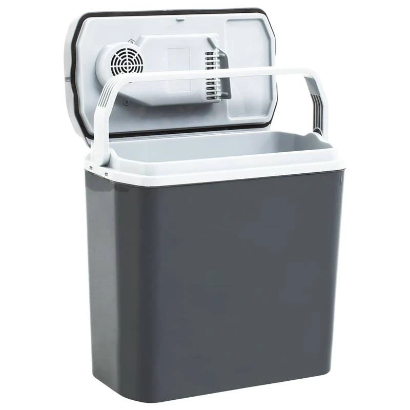 VIDAXL Glacière Thermoélectrique 2 VIDAXL Glacière Thermoélectrique – Image 2